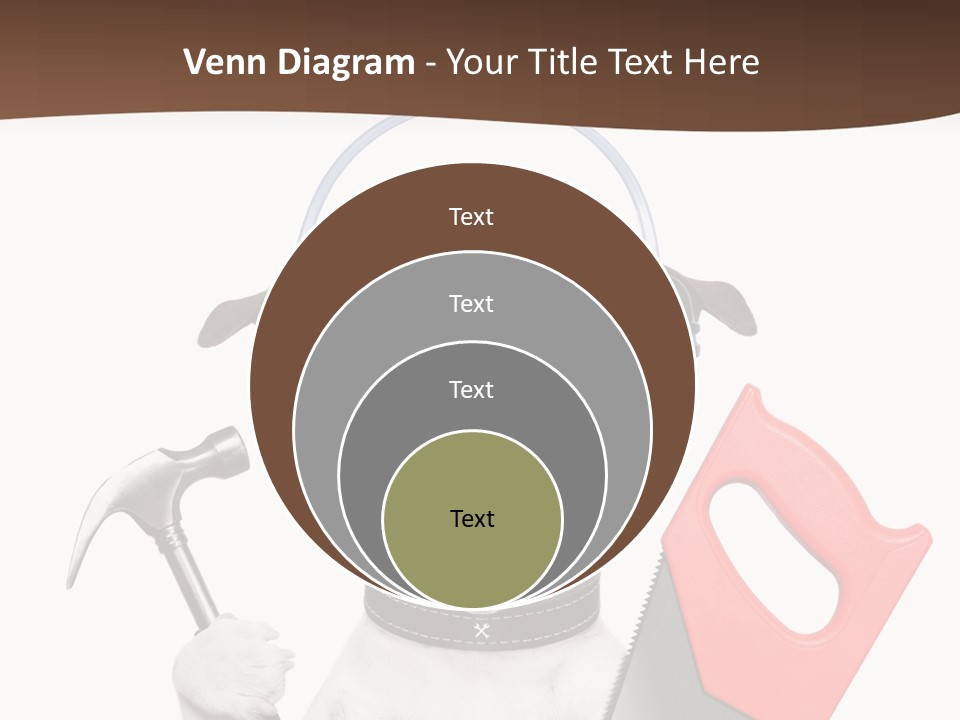 Animal Improvement Canine PowerPoint Template
