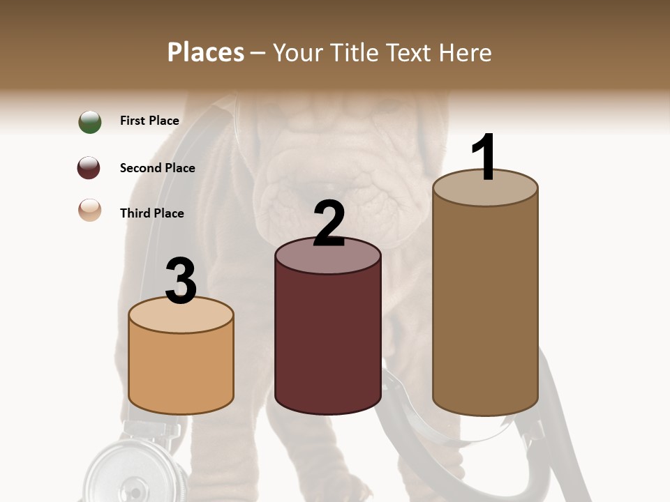 Mammal Puppy White PowerPoint Template