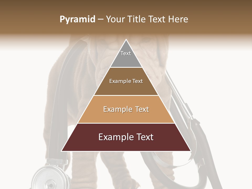 Mammal Puppy White PowerPoint Template