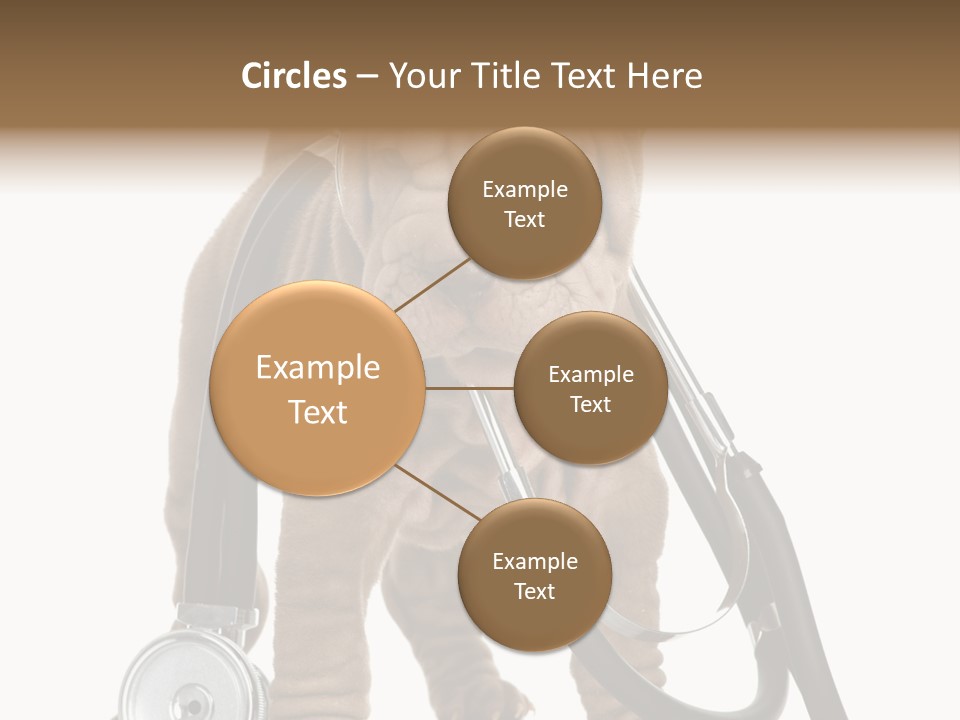 Mammal Puppy White PowerPoint Template