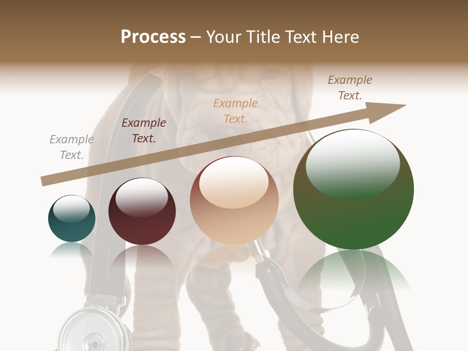 Mammal Puppy White PowerPoint Template