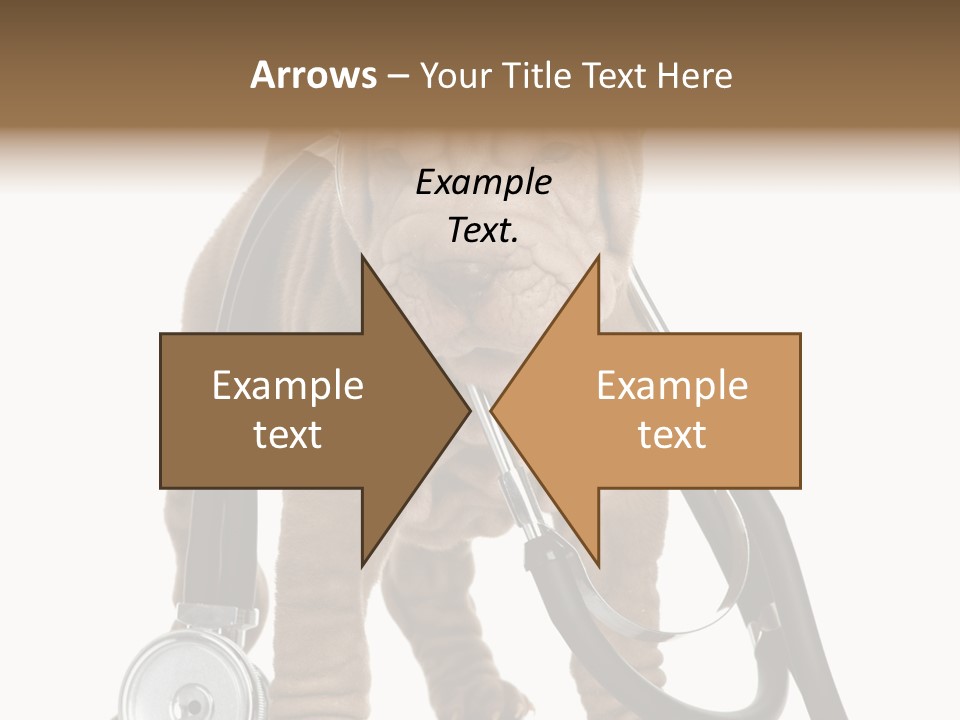 Mammal Puppy White PowerPoint Template