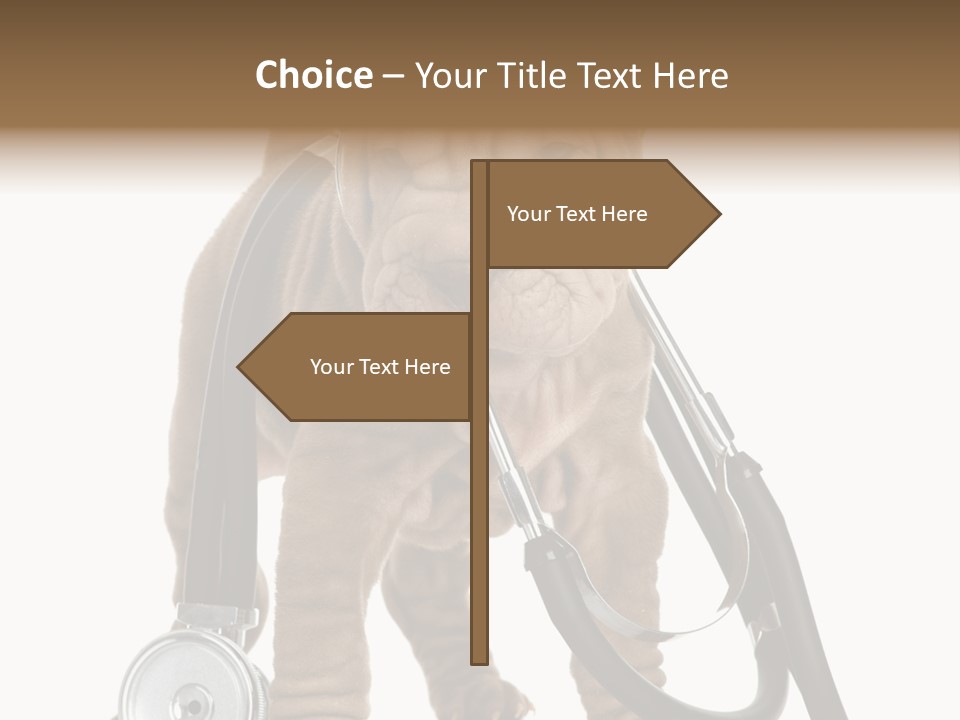 Mammal Puppy White PowerPoint Template