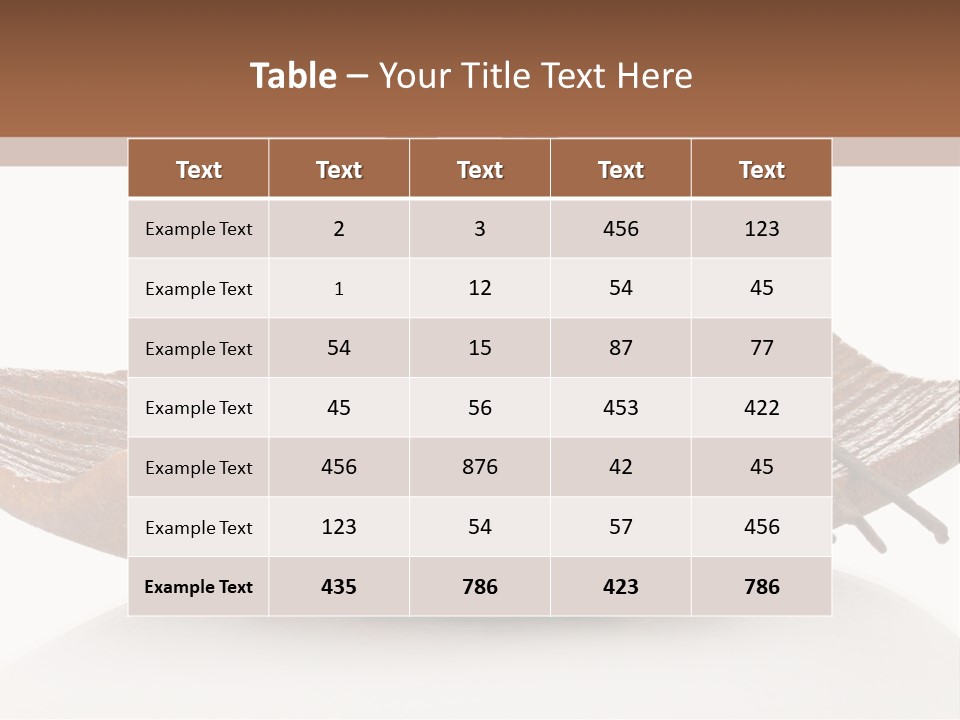 Closeup Macro Set PowerPoint Template
