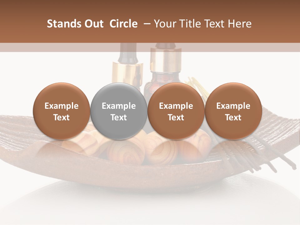 Closeup Macro Set PowerPoint Template