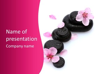 Background Shui Oriental PowerPoint Template