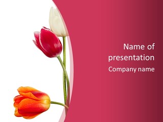 Excellent Lovely Flower PowerPoint Template