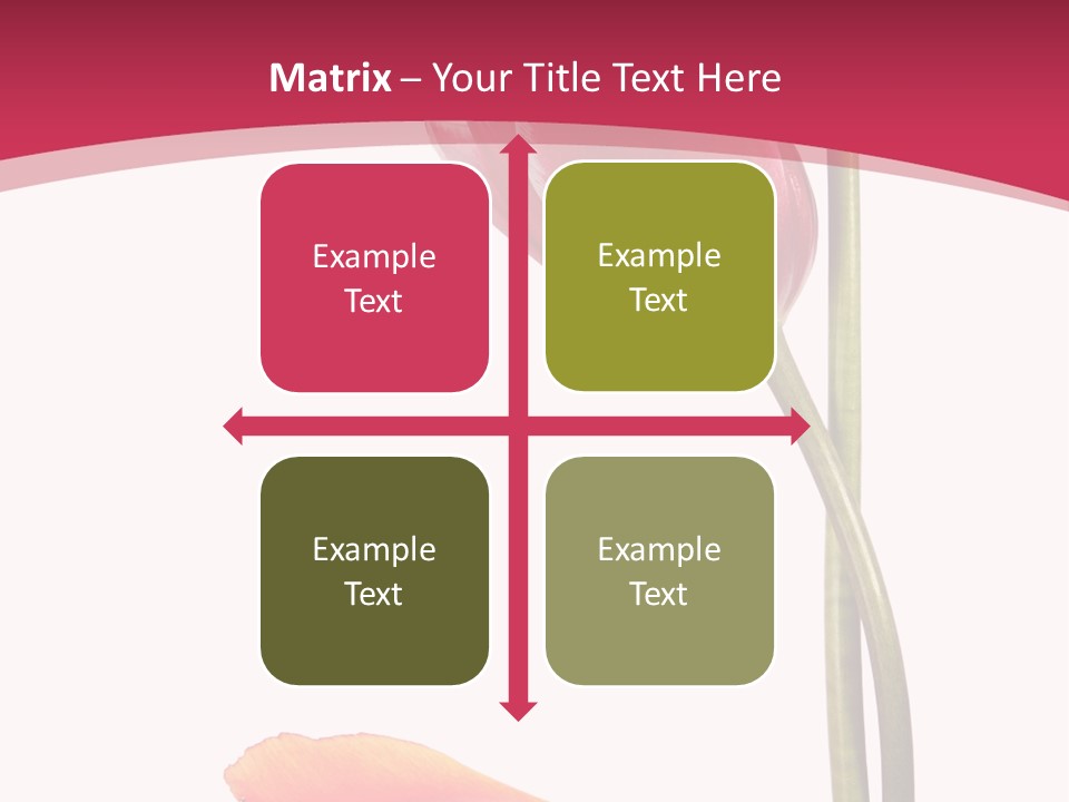 Excellent Lovely Flower PowerPoint Template