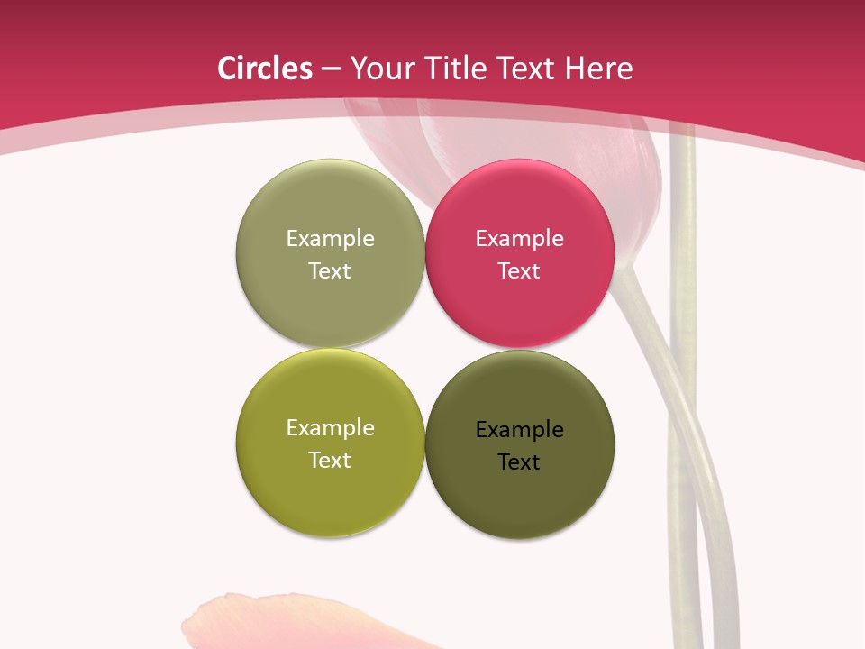 Excellent Lovely Flower PowerPoint Template