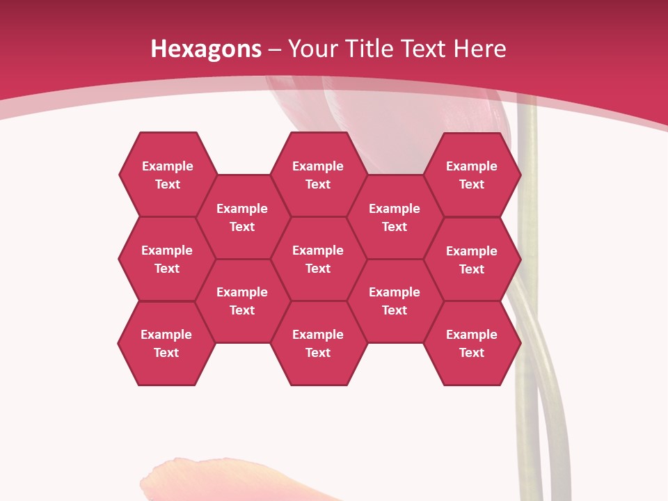 Excellent Lovely Flower PowerPoint Template