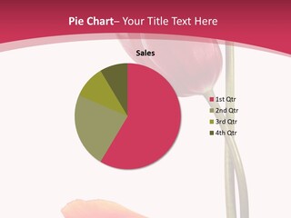 Excellent Lovely Flower PowerPoint Template