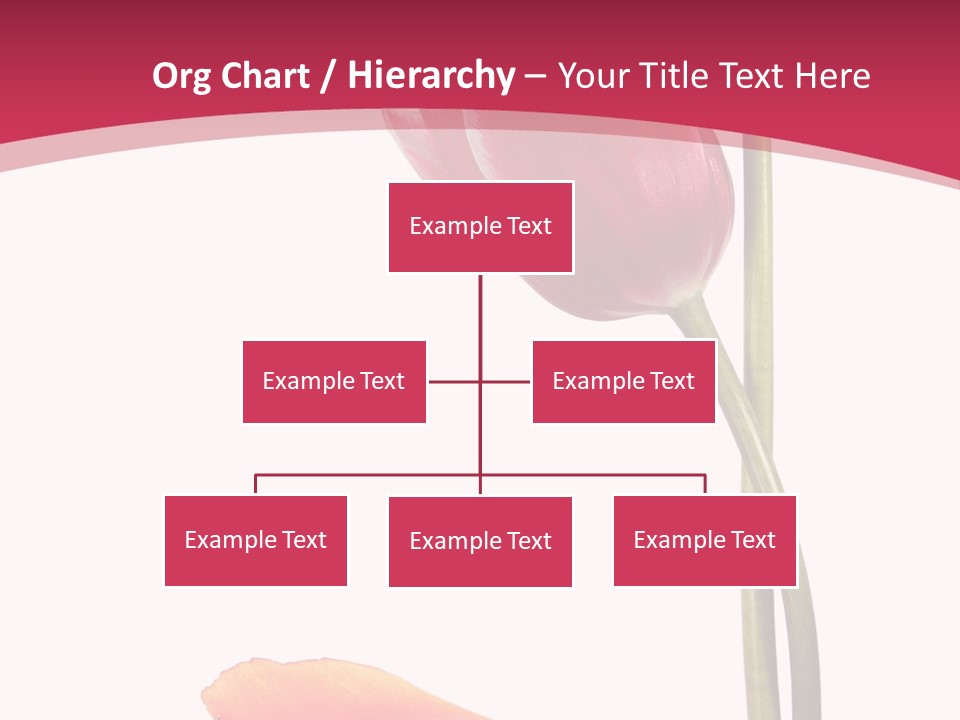 Excellent Lovely Flower PowerPoint Template