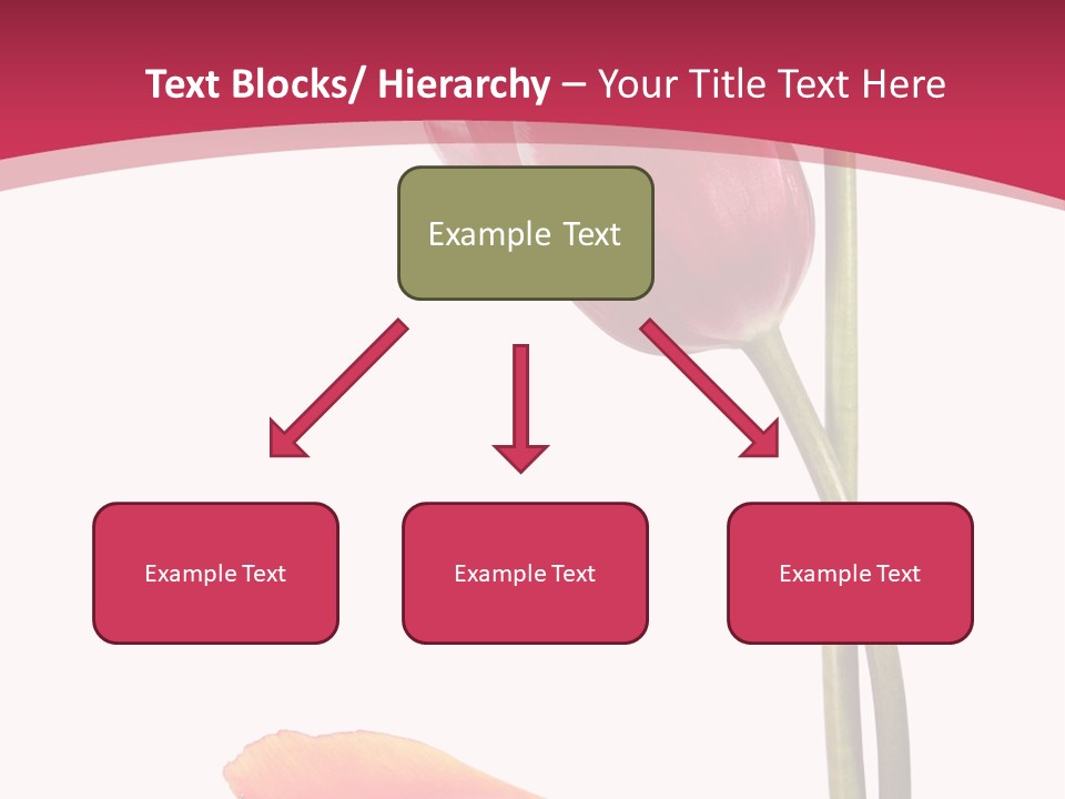 Excellent Lovely Flower PowerPoint Template