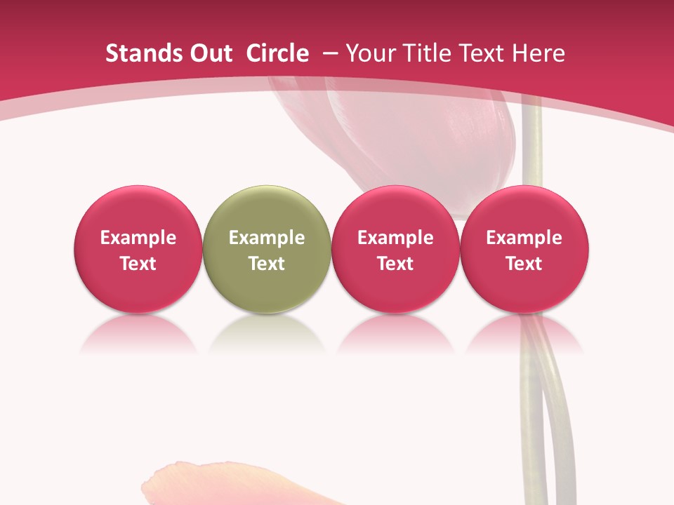 Excellent Lovely Flower PowerPoint Template