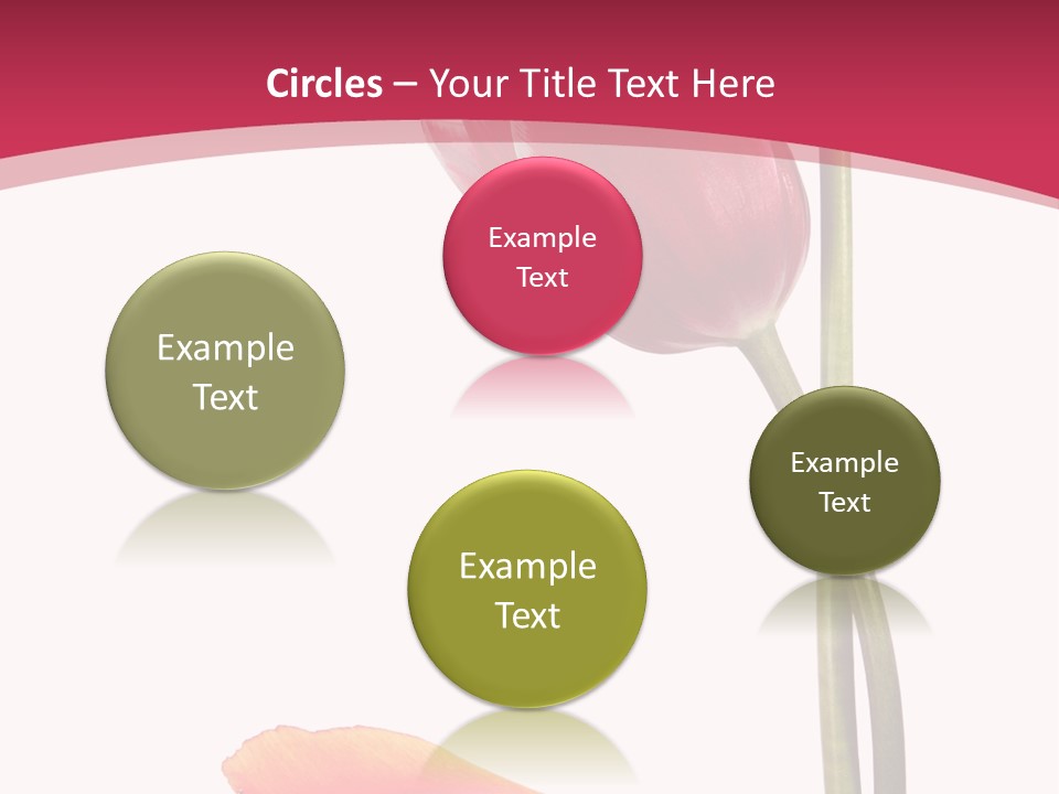 Excellent Lovely Flower PowerPoint Template