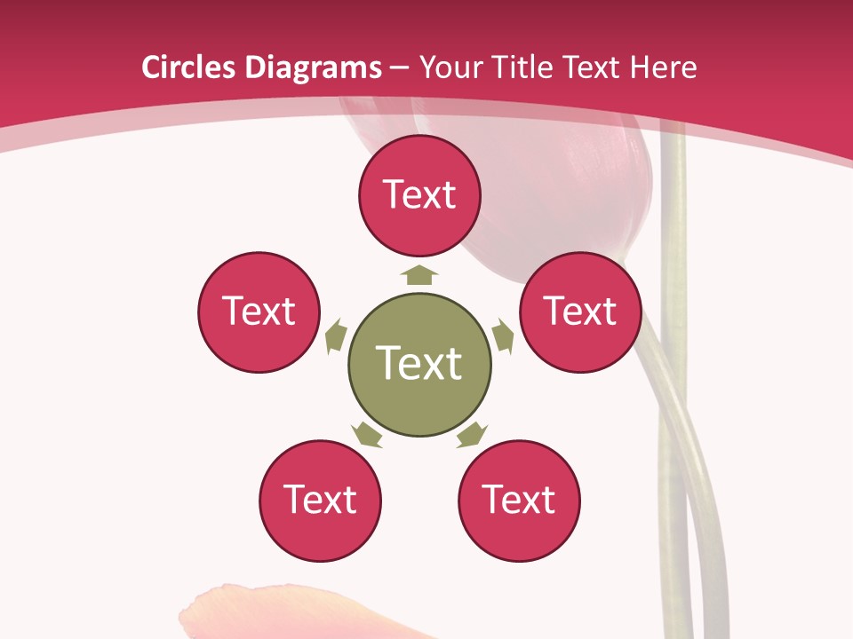 Excellent Lovely Flower PowerPoint Template