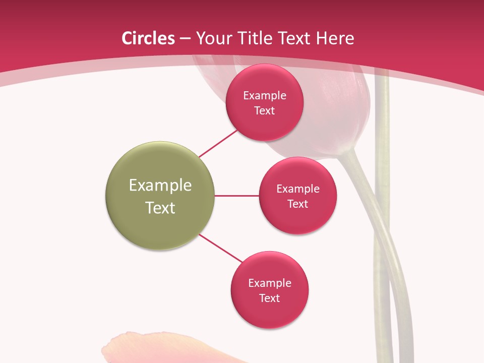 Excellent Lovely Flower PowerPoint Template