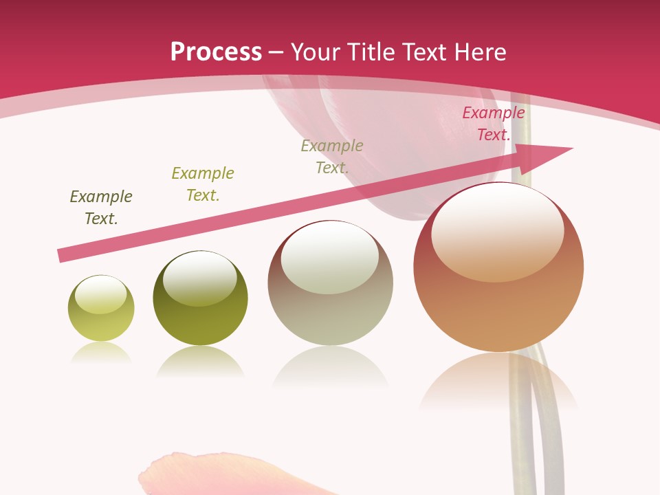 Excellent Lovely Flower PowerPoint Template