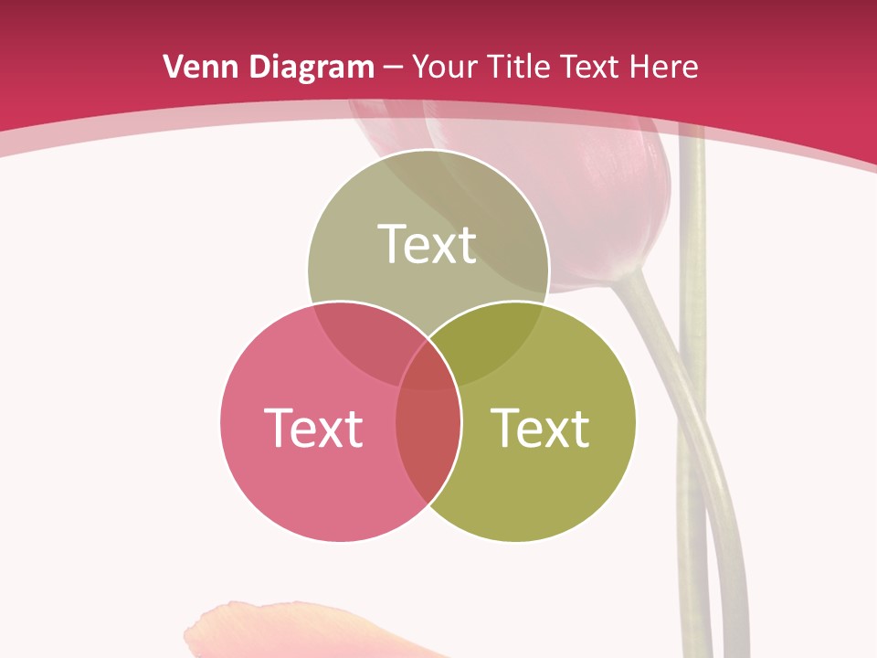 Excellent Lovely Flower PowerPoint Template