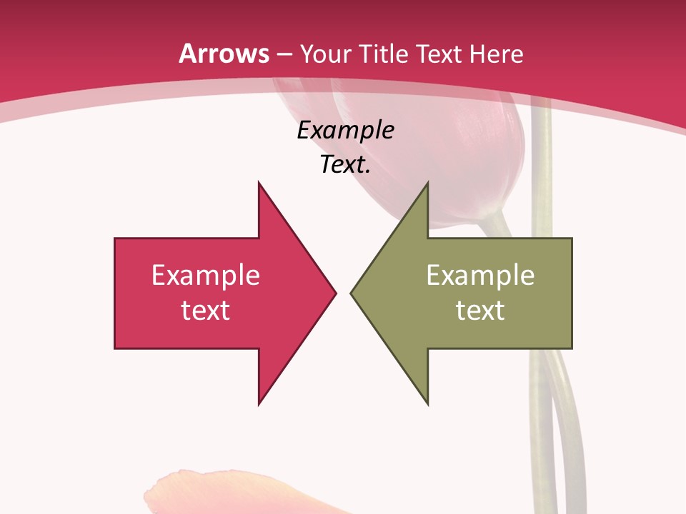 Excellent Lovely Flower PowerPoint Template