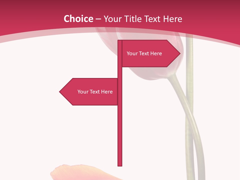 Excellent Lovely Flower PowerPoint Template