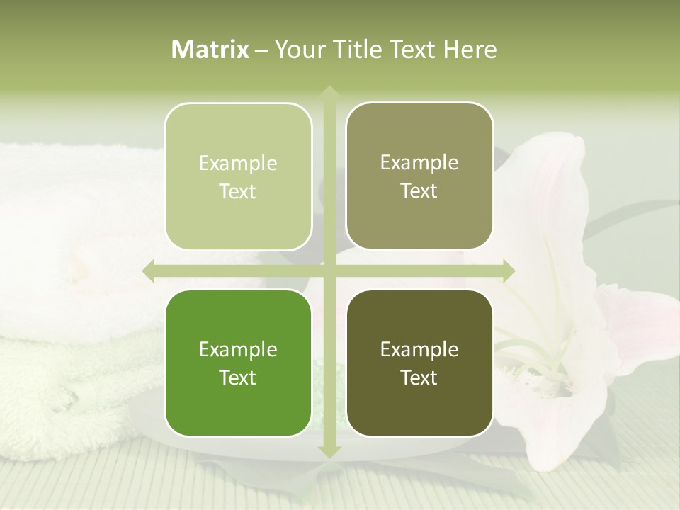 Home Healthy Cosmetics PowerPoint Template