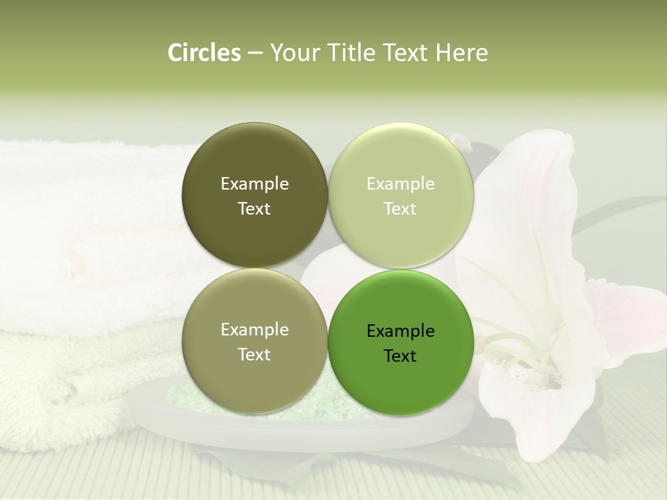 Home Healthy Cosmetics PowerPoint Template