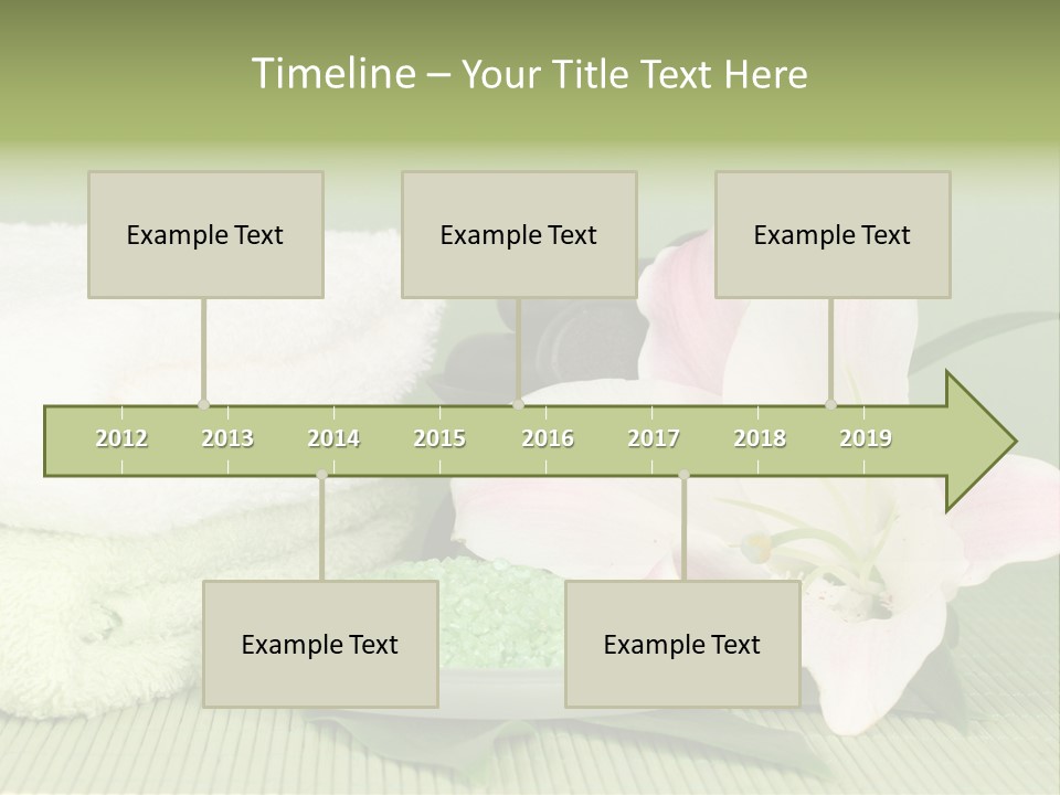 Home Healthy Cosmetics PowerPoint Template