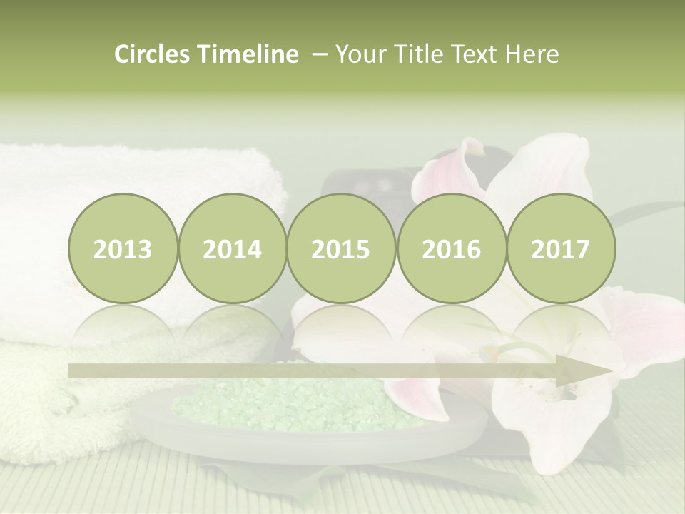 Home Healthy Cosmetics PowerPoint Template