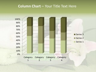 Home Healthy Cosmetics PowerPoint Template