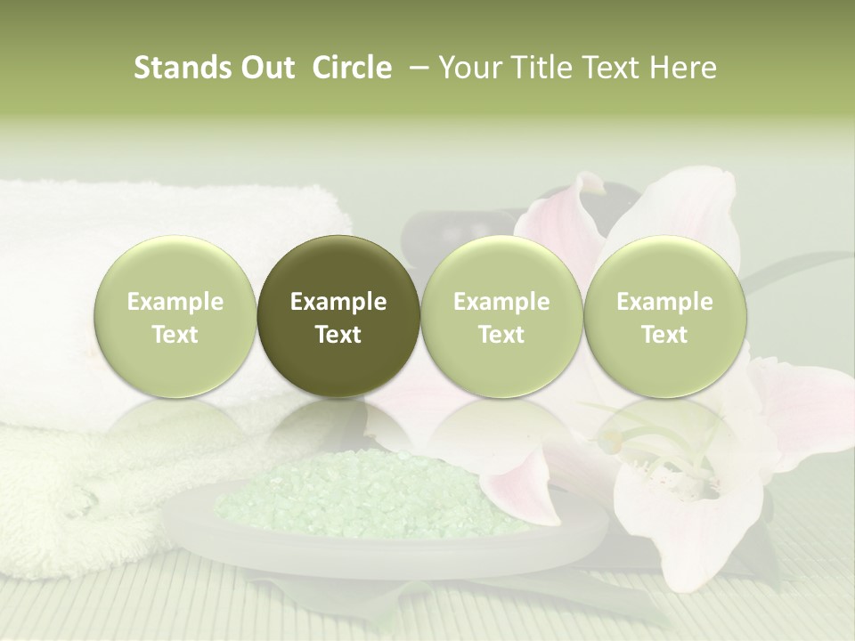 Home Healthy Cosmetics PowerPoint Template