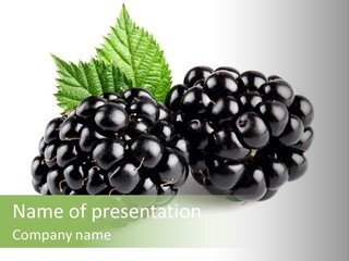 White Fresh Black PowerPoint Template