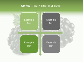 White Fresh Black PowerPoint Template