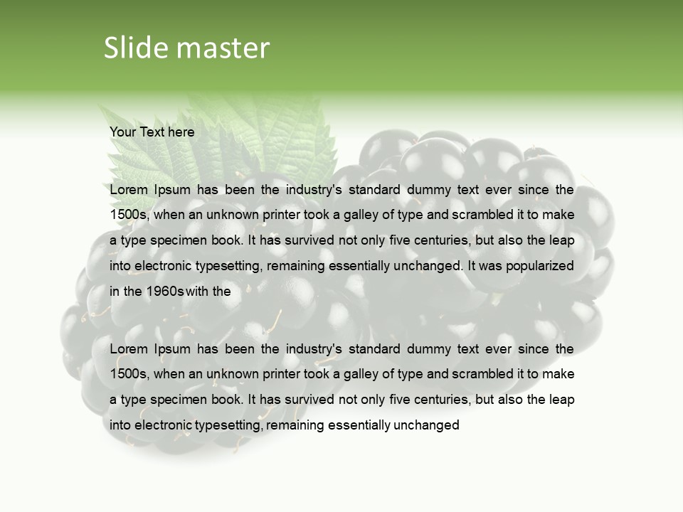 White Fresh Black PowerPoint Template
