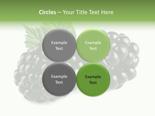 White Fresh Black PowerPoint Template