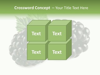 White Fresh Black PowerPoint Template