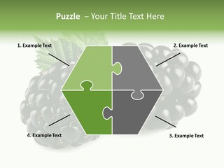 White Fresh Black PowerPoint Template