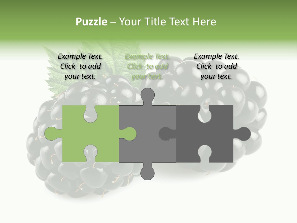 White Fresh Black PowerPoint Template