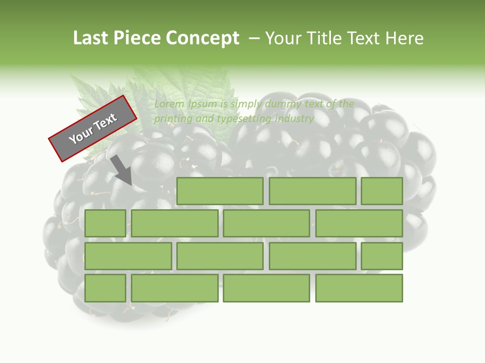 White Fresh Black PowerPoint Template