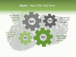 White Fresh Black PowerPoint Template