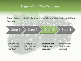 White Fresh Black PowerPoint Template