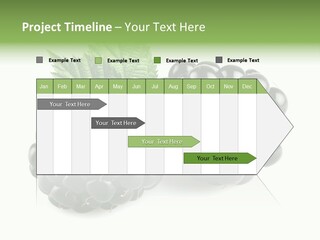 White Fresh Black PowerPoint Template
