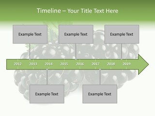 White Fresh Black PowerPoint Template