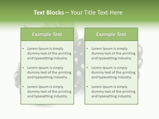 White Fresh Black PowerPoint Template