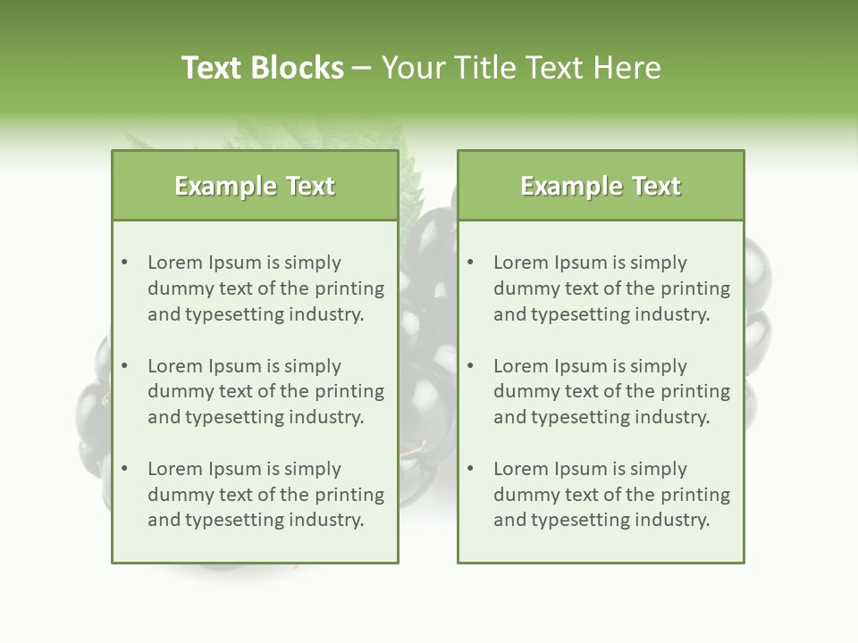 White Fresh Black PowerPoint Template