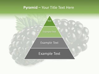 White Fresh Black PowerPoint Template