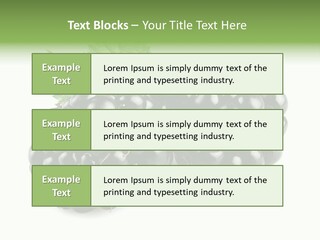 White Fresh Black PowerPoint Template
