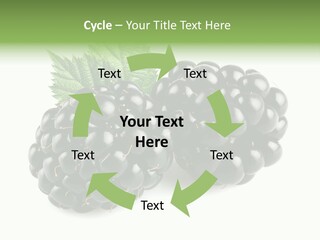 White Fresh Black PowerPoint Template