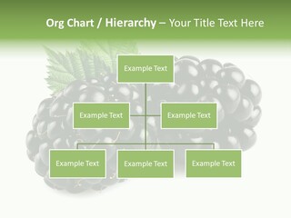 White Fresh Black PowerPoint Template
