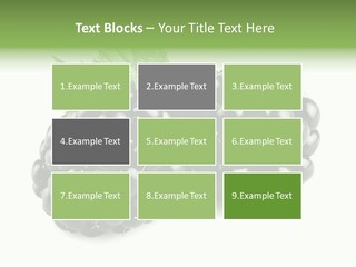 White Fresh Black PowerPoint Template